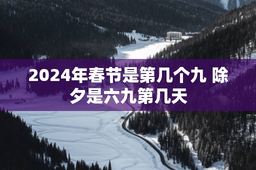 2025年春节是第几个九 除夕是六九第几天