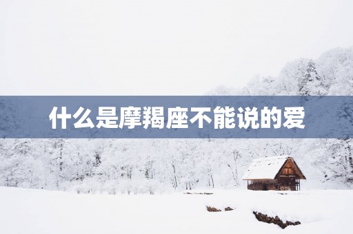 什么是摩羯座不能说的爱