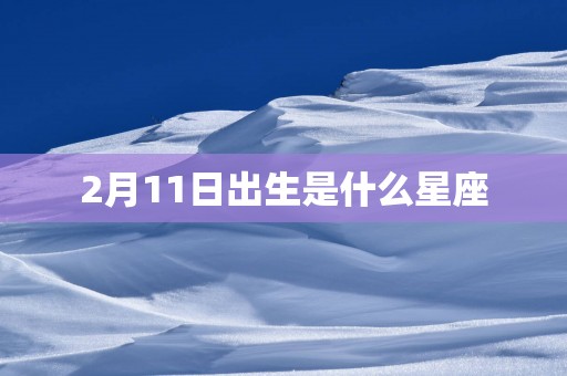 2月11日出生是什么星座