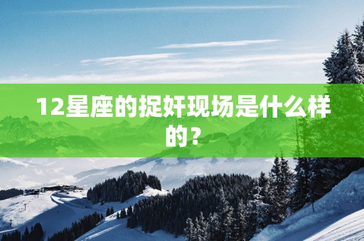 12星座的捉奸现场是什么样的？