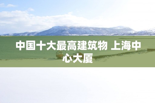 中国十大最高建筑物 上海中心大厦