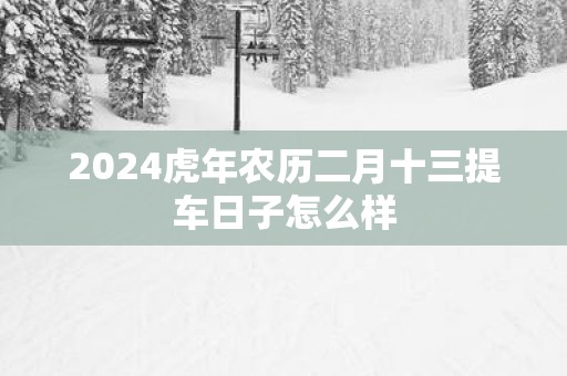 2025蛇年农历二月十三提车日子怎么样