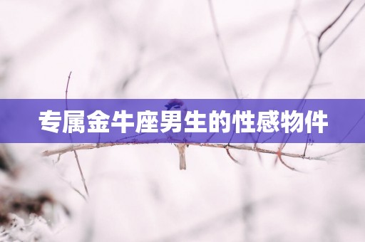 专属金牛座男生的性感物件