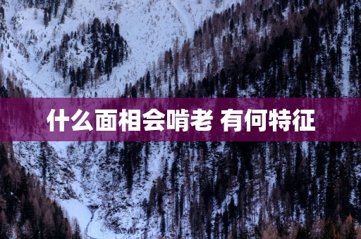 什么面相会啃老 有何特征
