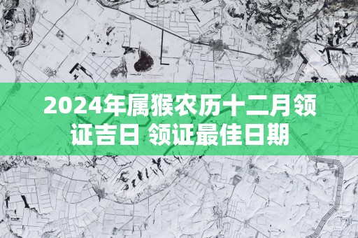2025年属猴农历十二月领证吉日 领证最佳日期