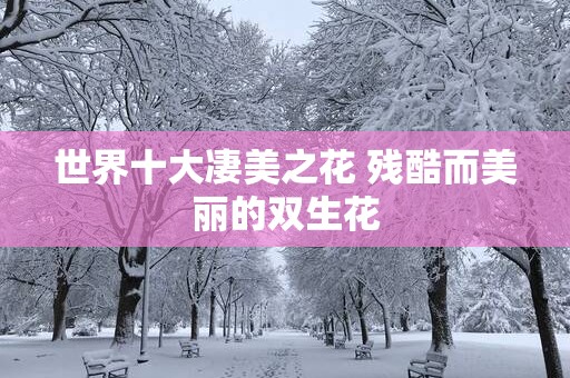 世界十大凄美之花 残酷而美丽的双生花