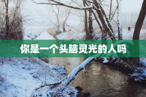 你是一个头脑灵光的人吗