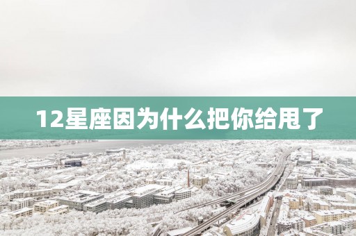 12星座因为什么把你给甩了