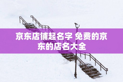 京东店铺起名字 免费的京东的店名大全