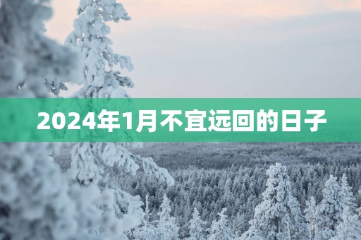 2025年1月不宜远回的日子