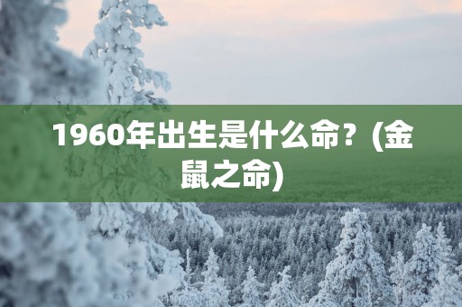 1960年出生是什么命？(金鼠之命)