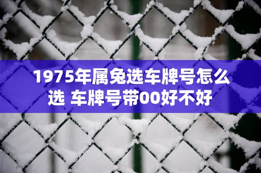 1975年属兔选车牌号怎么选 车牌号带00好不好