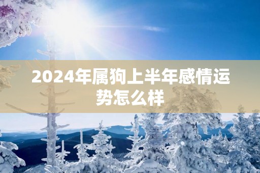 2025年属狗上半年感情运势怎么样