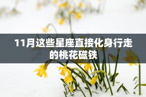 11月这些星座直接化身行走的桃花磁铁