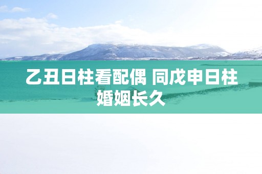 乙丑日柱看配偶 同戊申日柱婚姻长久