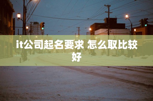it公司起名要求 怎么取比较好
