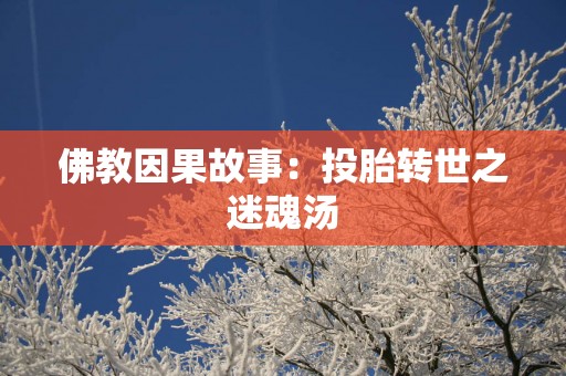 佛教因果故事：投胎转世之迷魂汤
