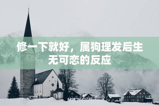修一下就好，属狗理发后生无可恋的反应