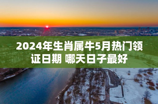2025年生肖属牛5月热门领证日期 哪天日子最好
