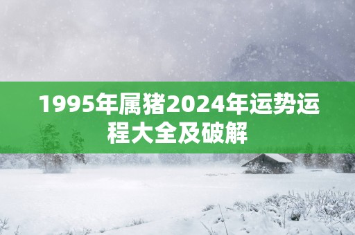 1995年属猪2025年运势运程大全及破解