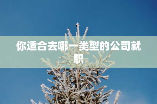 你适合去哪一类型的公司就职