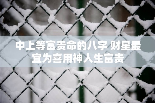 中上等富贵命的八字 财星最宜为喜用神人生富贵