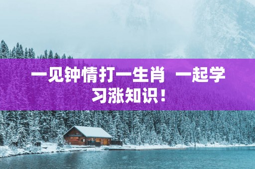 一见钟情打一生肖  一起学习涨知识！