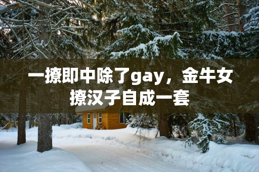 一撩即中除了gay，金牛女撩汉子自成一套