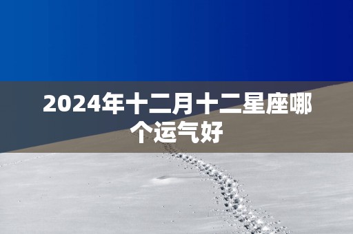 2025年十二月十二星座哪个运气好