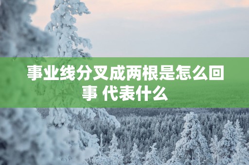 事业线分叉成两根是怎么回事 代表什么