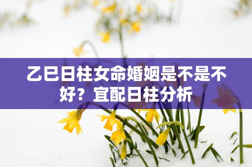 乙巳日柱女命婚姻是不是不好？宜配日柱分析