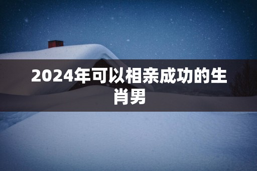 2025年可以相亲成功的生肖男