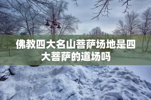 佛教四大名山菩萨场地是四大菩萨的道场吗