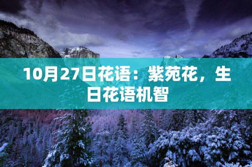 10月27日花语：紫苑花，生日花语机智
