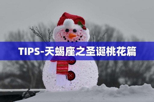 TIPS-天蝎座之圣诞桃花篇