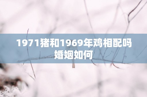1971猪和1969年鸡相配吗婚姻如何