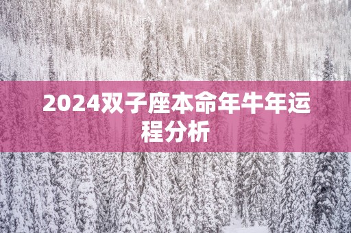 2025双子座本命年蛇年运程分析