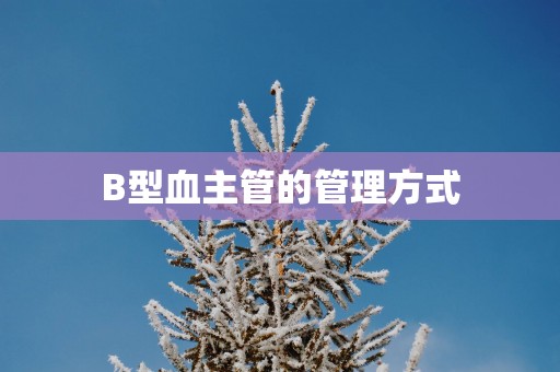 B型血主管的管理方式