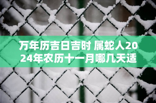 万年历吉日吉时 属蛇人2025年农历十一月哪几天适合办开业仪式