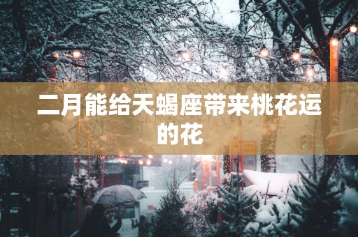 二月能给天蝎座带来桃花运的花
