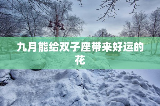 九月能给双子座带来好运的花