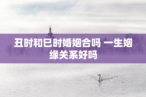 丑时和巳时婚姻合吗 一生姻缘关系好吗