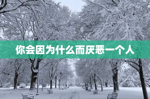 你会因为什么而厌恶一个人