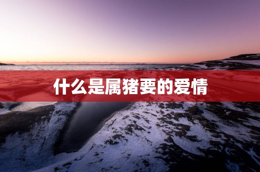 什么是属猪要的爱情