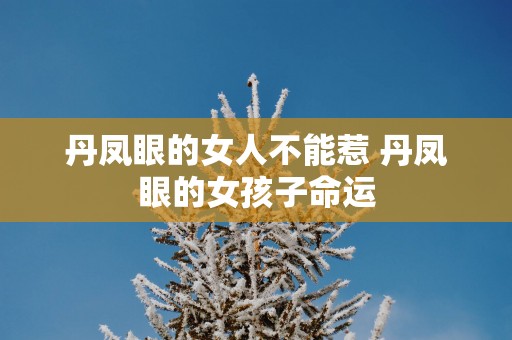 丹凤眼的女人不能惹 丹凤眼的女孩子命运
