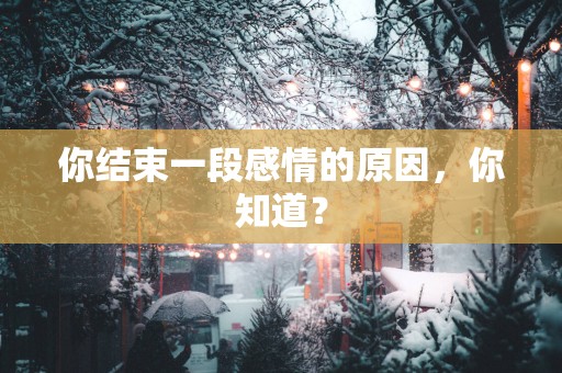 你结束一段感情的原因，你知道？