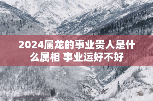 2025属龙的事业贵人是什么属相 事业运好不好