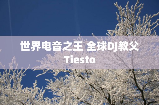 世界电音之王 全球DJ教父Tiesto