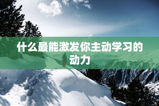 什么最能激发你主动学习的动力