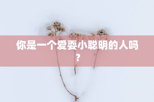你是一个爱耍小聪明的人吗？